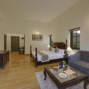 Suite Mountain View